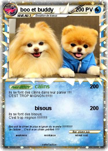 Pokemon boo et buddy