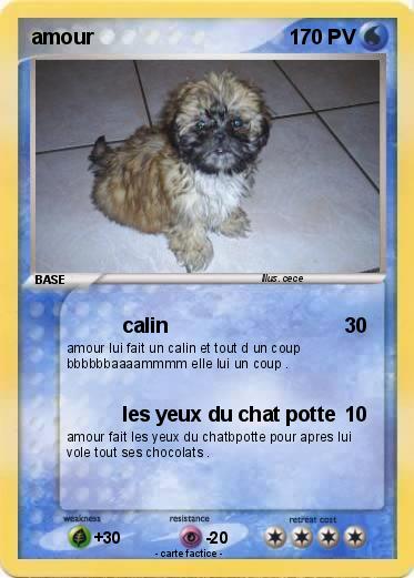 Pokemon amour