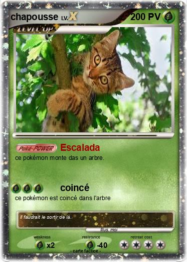 Pokemon chapousse