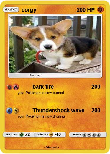 Pokemon corgy