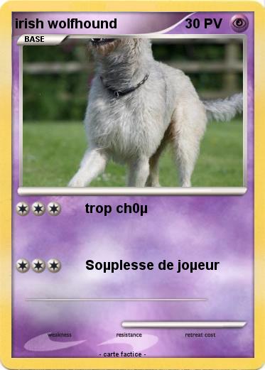 Pokemon irish wolfhound