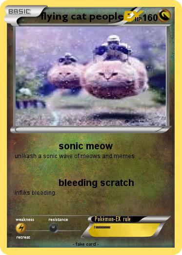 Pokemon flying cat people