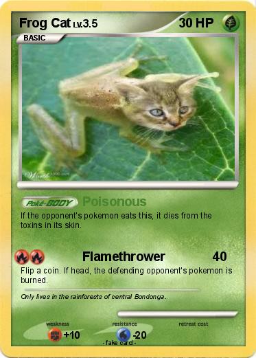 Pokemon Frog Cat