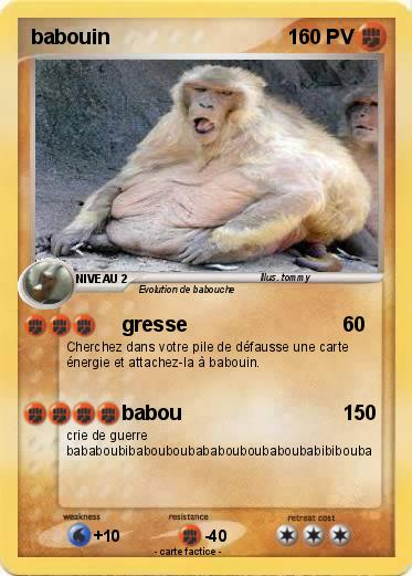 Pokemon babouin