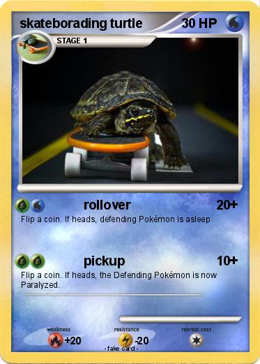 Pokemon skateborading turtle