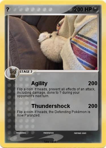 Pokemon ?