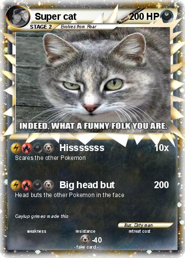 Pokemon Super cat