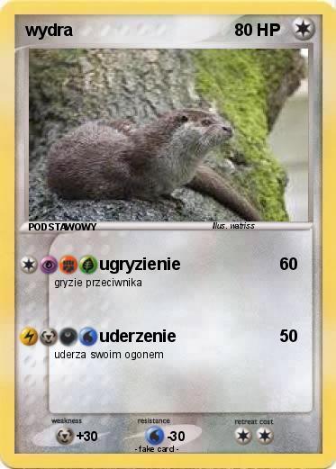 Pokemon wydra
