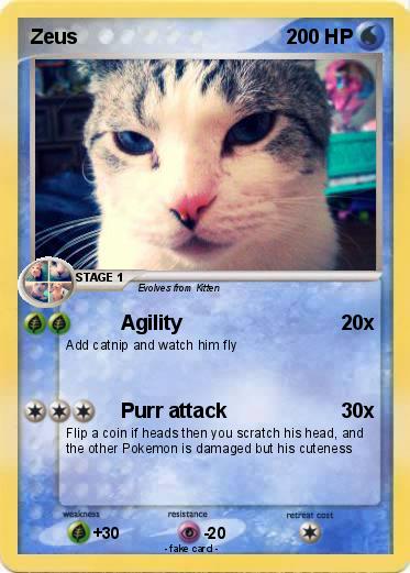 Pokemon Zeus