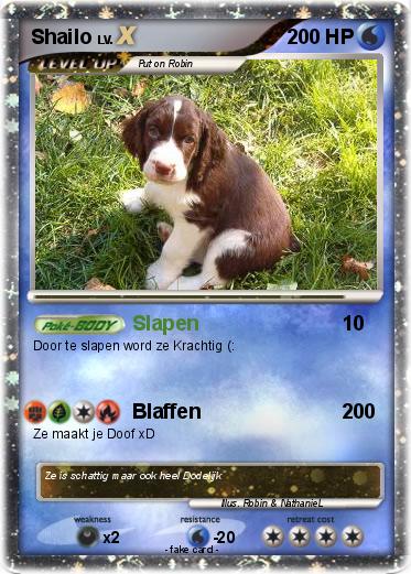 Pokemon Shailo