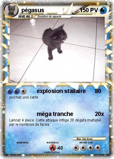 Pokemon pégasus