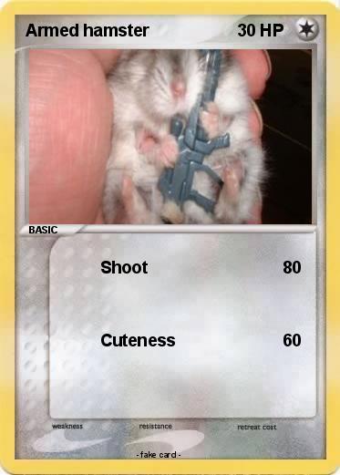 Pokemon Armed hamster