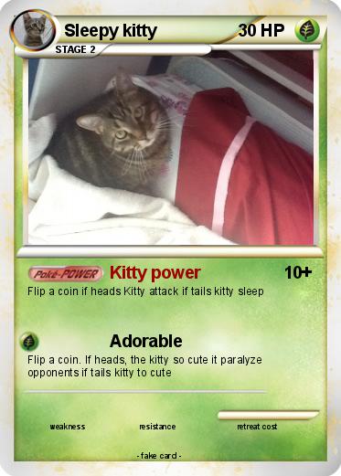 Pokemon Sleepy kitty