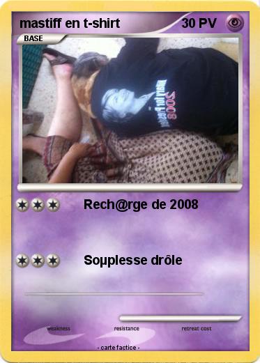 Pokemon mastiff en t-shirt
