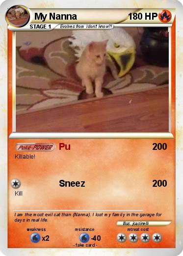 Pokemon My Nanna