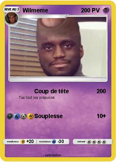 Pokemon Wilmeme