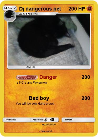 Pokemon Dj dangerous pet