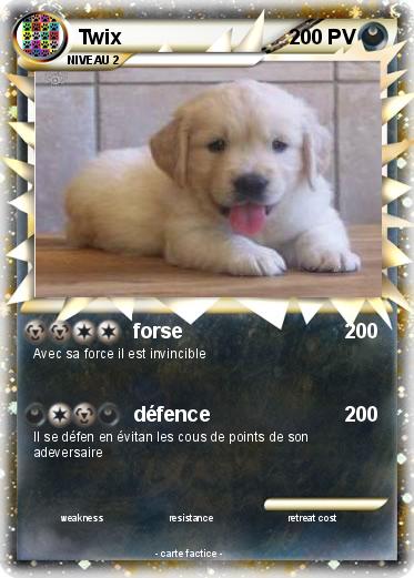 Pokemon Twix