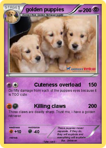 Pokemon golden puppies