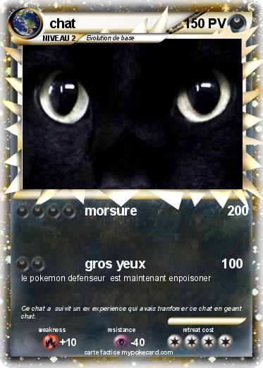 Pokemon chat