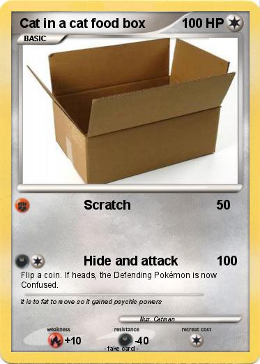 Pokemon Cat in a cat food box