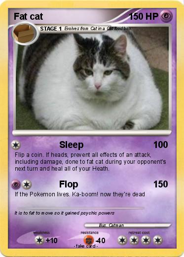 Pokemon Fat cat