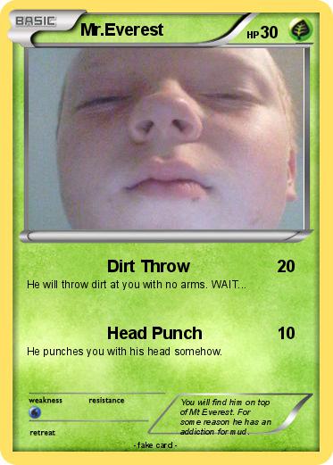 Pokemon Mr.Everest