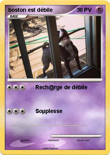 Pokemon boston est débile