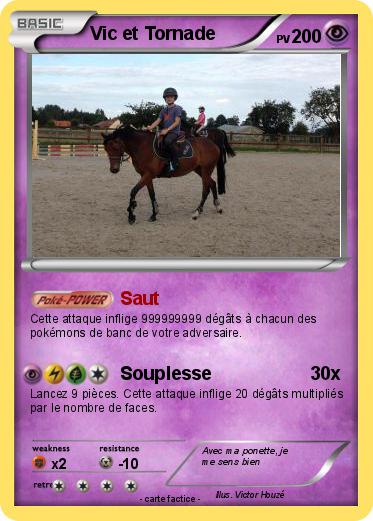 Pokemon Vic et Tornade