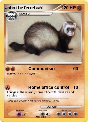 Pokemon John the ferret