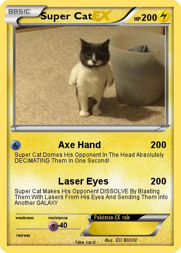Pokemon Super Cat