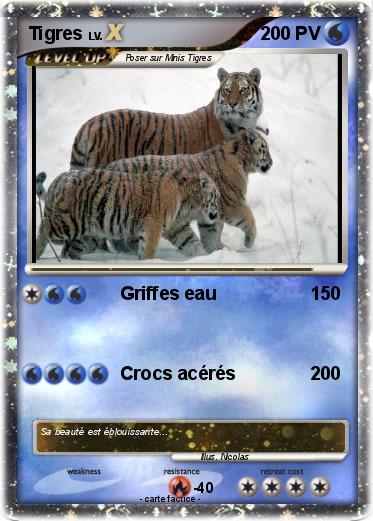 Pokemon Tigres