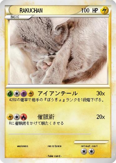 Pokemon RAKUCHAN