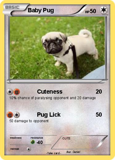 Pokemon Baby Pug