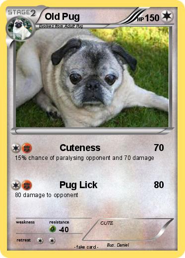 Pokemon Old Pug