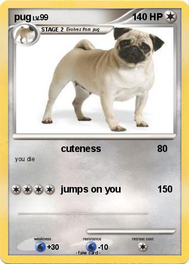 Pokemon pug