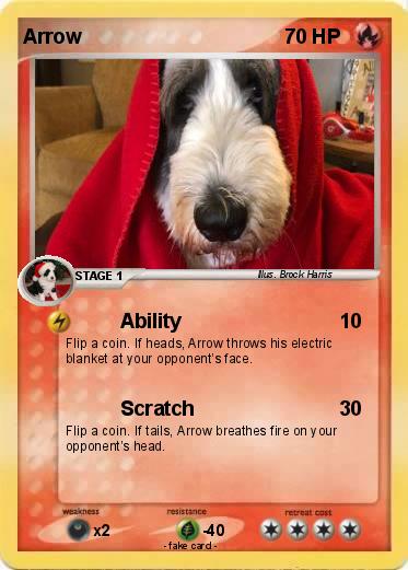 Pokemon Arrow
