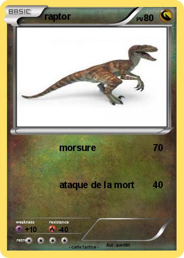 Pokemon raptor