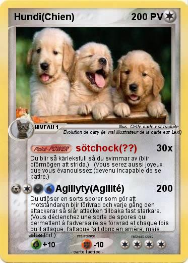 Pokemon Hundi(Chien)