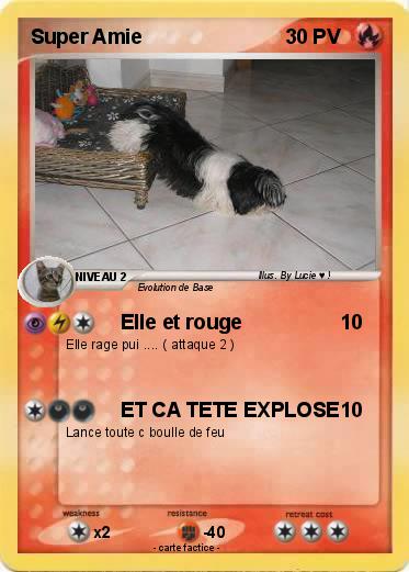 Pokemon Super Amie