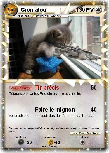 Pokemon Gromatou