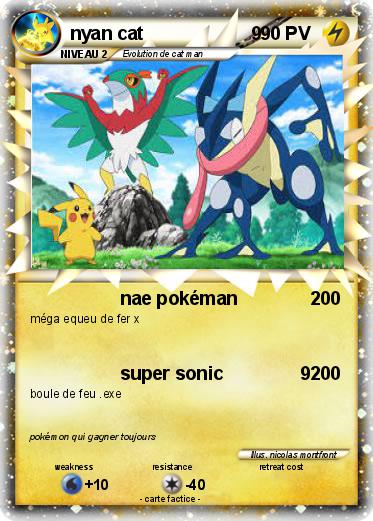 Pokemon nyan cat                     9