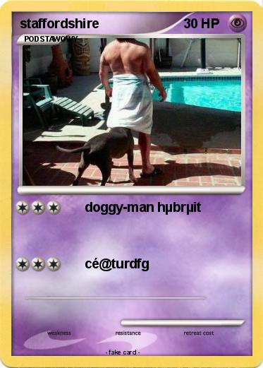 Pokemon staffordshire