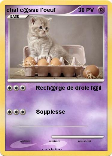 Pokemon chat c@sse l'oeuf