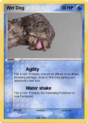 Pokemon Wet Dog