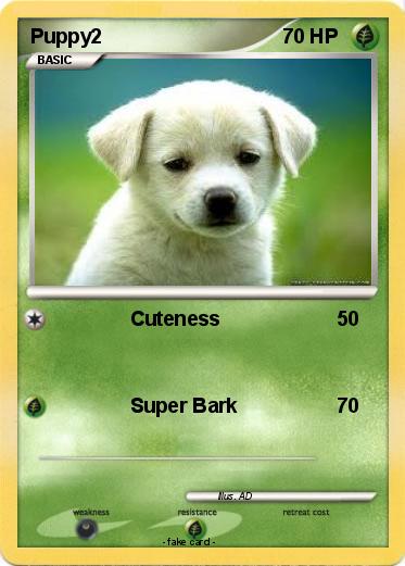 Pokemon Puppy2