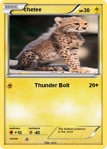 Pokemon chetee