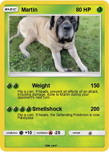 Pokemon Martin