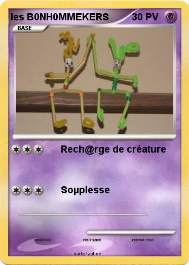 Pokemon les B0NH0MMEKERS