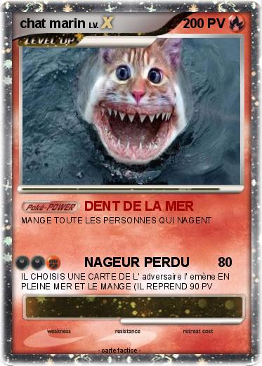Pokemon chat marin